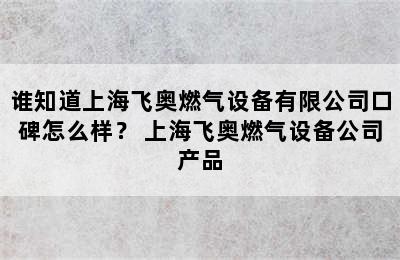 谁知道上海飞奥燃气设备有限公司口碑怎么样？ 上海飞奥燃气设备公司产品